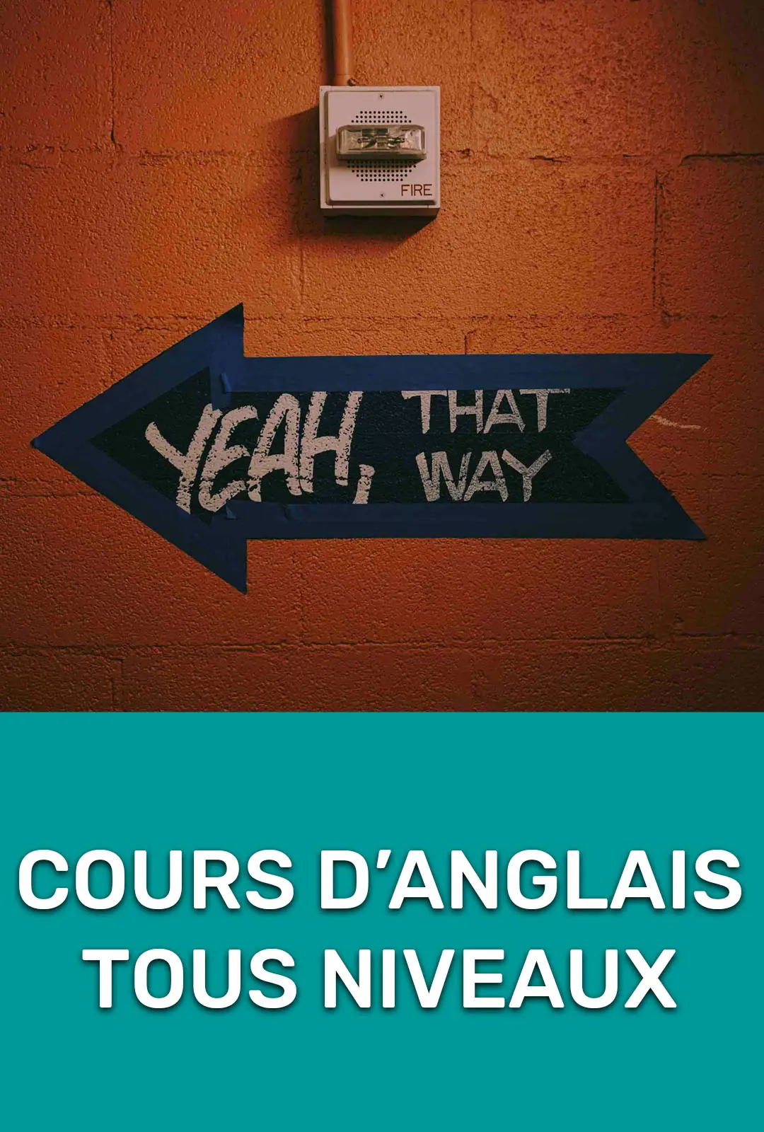 Cours d'anglais tous niveaux